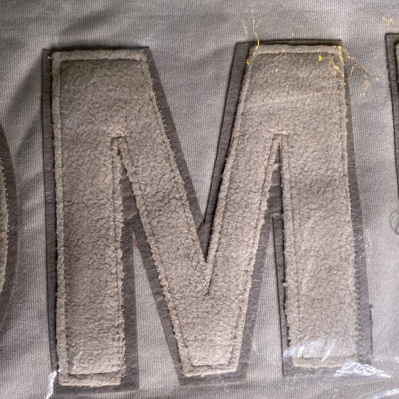 Pottery Barn Cuddly and Cozy Sweatshirt Style Home Applique Pillow Cover - Picture 7 of 16